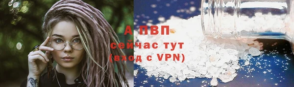 a pvp Абаза