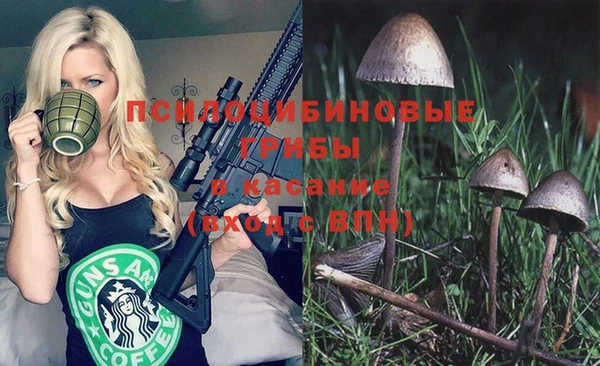 круглые Алзамай