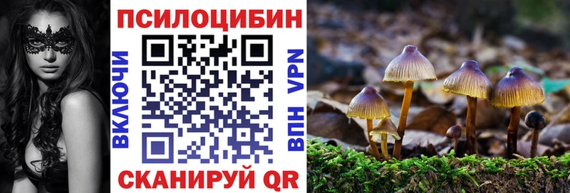 Псилоцибиновые грибы мухоморы  где можно купить   Лебедянь 